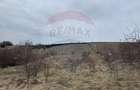 Teren intravilan 2307 mp în Salicea, zona premium, aproape de Cluj - 7