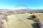Teren intravilan 12.615 mp | Panorma Bucegi, Magura, P. Craiului - 7