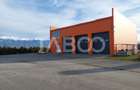 Hala industriala cu teren de 12000 mp Bradu Sibiu - 13