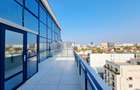 Inchiriere apartament duplex,  penthouse, 6 cam - 15