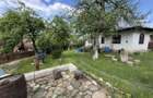 2 Case + teren 1390 mp langa parcul central Provita de Sus - 42