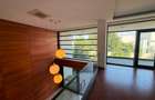 4 BEDROOM VILA WITH POOL EROU IANCU NICOLAE | VILA 5 CAMERE EROU IANCU NICOLAE - 27