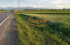 Teren Stupini Calea Feldioarei 11800 mp,25 euro/mp, front asfalt-DN13 - 8