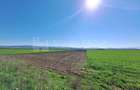 Teren de 8700 mp - extravilan - Bod, Brasov - 1