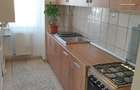 Apartament 1 camera recent renovat Nicolina 1 - 4