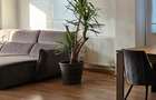 REA1028739 Penthouse I Complet mobilat I Voluntari I De vanzare - 2