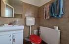 COMISION 0% CASA VECHE CU TEREN STR PREYER IOSEFIN - 9