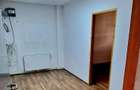 Show room de inchiriat,115 mp sau 320 mp, Zona Lugojului - 4