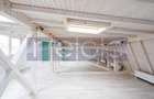 INCHIRIERE VILA CADEREA BASTILIEI | 240MP | PRETBAIL BIROU | PARCARE - 7