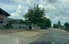 Vanzare Teren  intravilan 8000mp Adunati Copaceni Giurgiu - 14