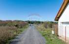 Teren Sanpetru -livada, Strada Nucului, 1296mp, apa, gaz, curent - 8