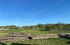 VILA PREMIUM | 240mp utili | 923mp teren | Constructie Impunatoare | Agrisul Mar - 10