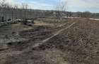 Teren la Lac intravilan construcții Corbeanca Ilfov - 6