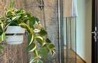 Apartament Art Deco unic, renovat-Stirbei Voda-Comision 0% - 15