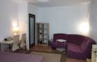 Nerva Traian, garsoniera, 10 min metrou Timpuri Noi, BOILER, PET FRIENDLY - 7