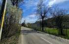 Teren 10,000mp Nemtisor / DJ 155C - 6