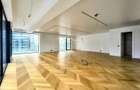 Duplex exclusivist // LUX 6 camere // vedere parc // Floreasca - 6