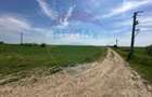 Teren 138.104 mp Dragomiresti-Vale, Ilfov, langa A0 - 1