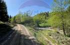 Teren 12,127mp Frasin / Drumul Forestier Valea Seacă - 11