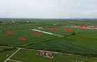Terenuri de vânzare – ieșirea din Remetea Mare spre Autostradă - 1