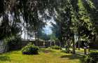 Villa for sale, 4 Rooms, 200 sqm, 4500 sqm, Cordun - 6