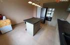Vila cu 5 camere, 236 mp, teren 5805 mp, gaz, Brestea - Denta  - 22