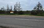 LIVADA  DE VANZARE FOCSANI-DUMBRAVITA  1,8  HA - 31