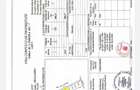 PARTICULAR  INTRAVILAN 1000/500 MP TOATE UTILITATILE IDEAL PT CASA/INVESTITIE - 7