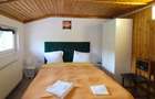 Vanzare vila superba la munte in Cheia Prahova renovata fara comision cumparator - 18