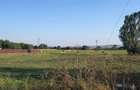 Teren intravilan,  12.200mp, zona Francei. (2 parcele-se vand si separat) - 3