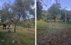 Teren de vacanță 5600 mp cu cabană, Utilitaiile Căsoaia jud Arad - 4