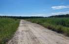 Oportunitate Unică! Teren de Vânzare aproape de Pădure – Ciolpani Izvorani - 7
