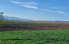 Teren extravilan 4.500- max.18.300mp in comuna Rosia (17 km de Sibiu) - 10