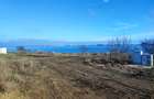 Teren intravilan de vanzare in Palazu Mare, langa lacul Siutghiol - 3
