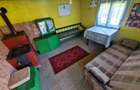 Proprietar vand casa+ teren 13000mp, Steia, Tomesti, jud. Hunedoara, 20km de Bra - 9