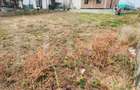 Teren intravilan 446 mp | Teren plan | Utilitati in zona | Negociabil