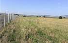 Teren DN2 B Buzau - Ploiesti - Sahateni ! - 4