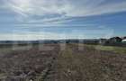 Hală 336 mp pe un teren de 3.000 mp, cu acces din drum asfaltat, Răcari - 10