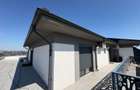 Penthouse Dobroiesti - 17
