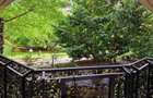 Închiriere apartament 3 camere cu 2 locuri de parcare Central Park - 3
