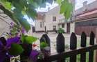 Poveste saseasca la umbra vitei de vie,cu crama,gradina flori,Central,Codlea - 6