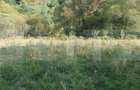 Teren intravilan, 1322 mp, zona Vatra Dornei - 12