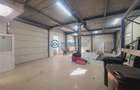 Royal Imobiliare - Inchiriere Spatiu Industrial zona Vest - 6