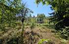 Teren cu casa renvabila | 1000mp | Dambul Rotund | Zona str. Coposu