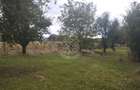 Teren intravilan 1500 mp-ideal casa-Mijlocenii Bargaului - 2