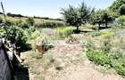 Teren intravilan 1.300 mp.zona Belvedere Targu Mures - 10