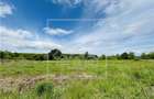 Teren intravilan, 750 mp, cu autorizatie de constructie, Selimbar - 10
