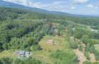 Casă de vacanță la poalele Munților Făgăraș | Teren 8.000 mp | - 5
