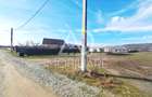 Teren Intravilan de vânzare in Bumbești-Pițic, Gorj - 4