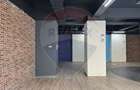 SPATIU COMERCIAL PREMIUM - CALEA MOSILOR - 3